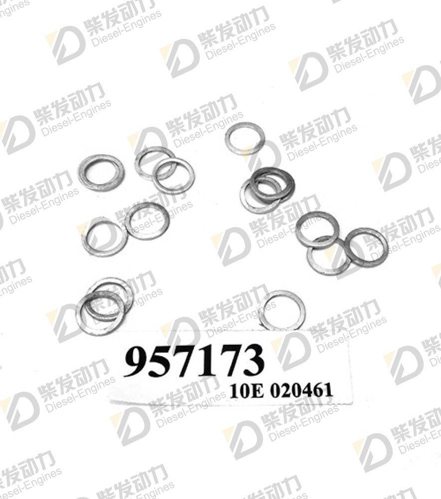 Gasket 957173 